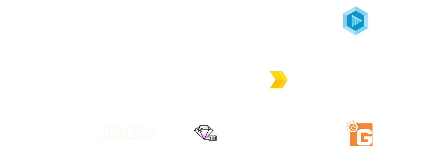 ERP Partners of irys